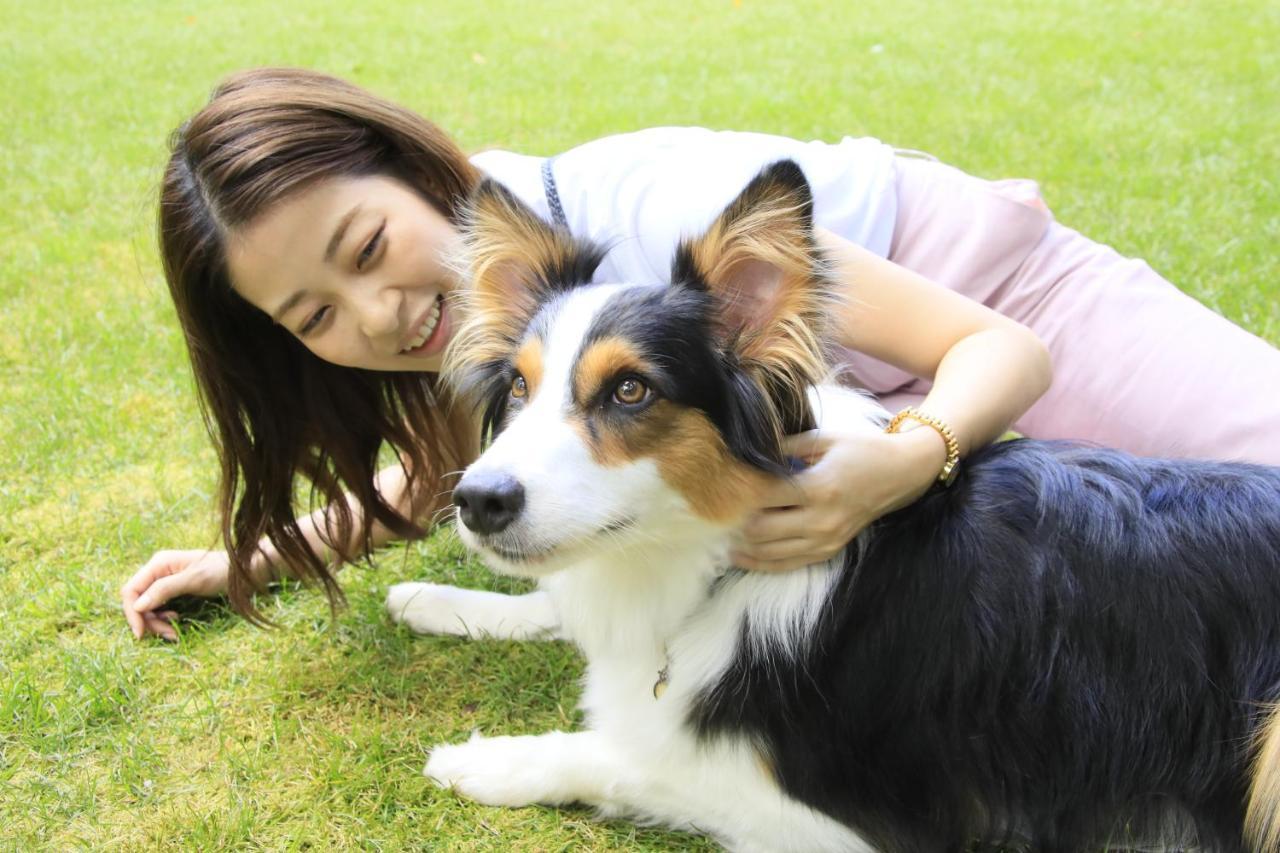 Yutorelo Tateshina Hotel With Dogs Chino Buitenkant foto